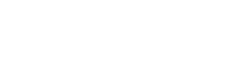 WhiteWings logo mark